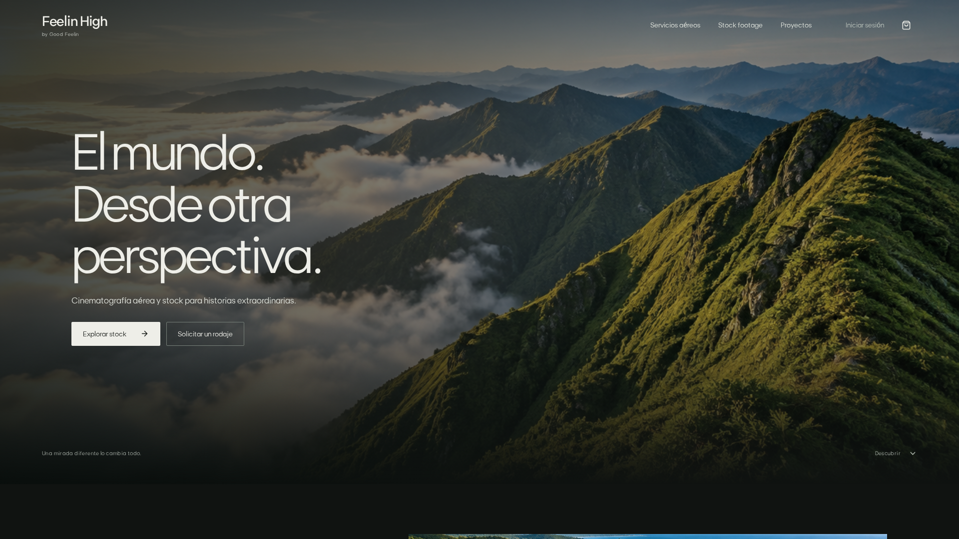 Feelin High desktop website capture
